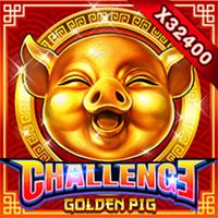 ChallengeÂ·Golden Pig