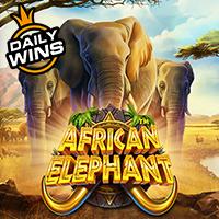 African Elephantâ¢