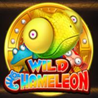 Wild Chameleon